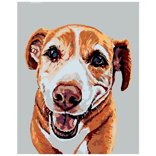 Картина по номерам, 'Живопись по номерам', 100 x 125, A249, пёс, животное, рыжий, клык, добрый взгляд, портрет, крупный план