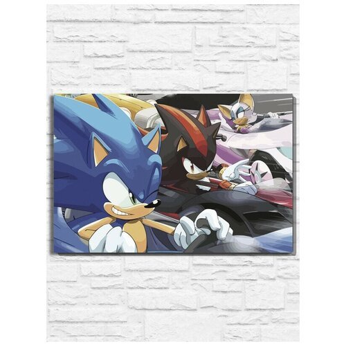 Картина по номерам на холсте игра Sonic Team Racing (PS, Xbox, PC, Switch) - 11157 Г 60x40