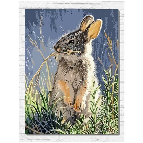 Картина по номерам на холсте Любопытный заяц (кролик) - 9038 В 30x40