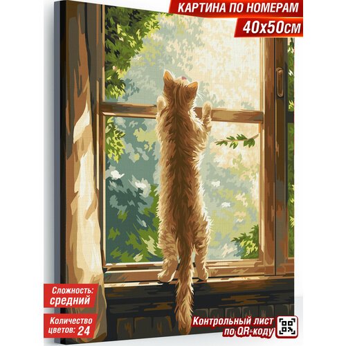 Картина по номерам кот Холст на подрамнике 40х50 см 'В поисках солнечных зайчиков'.