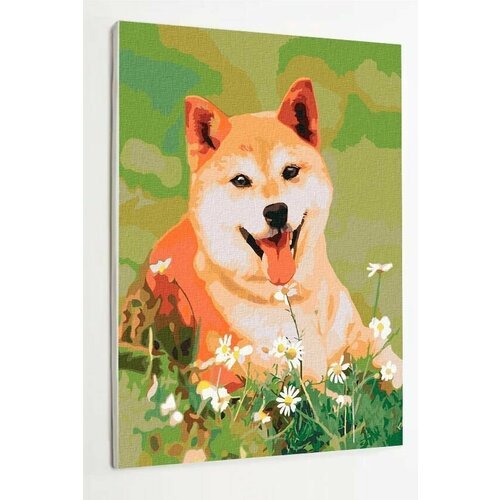 Картина по номерам собака Акита-ину