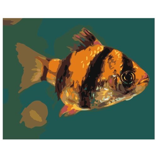 Желто-черная рыбка Раскраска картина по номерам на холсте