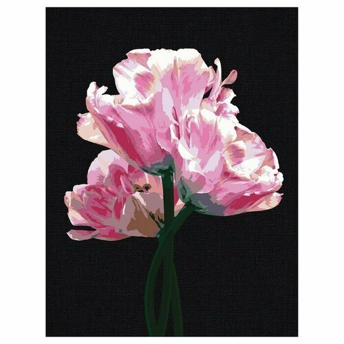 Картина по номерам на черном холсте Розовые цветы, 30 x 40 см
