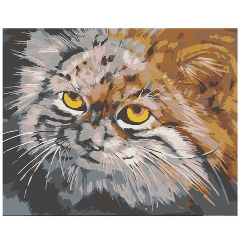 Картина по номерам, 'Живопись по номерам', 60 x 75, A84, разноцветный кот, животные, домашние, жёлтые глаза, взгляд, рисунок