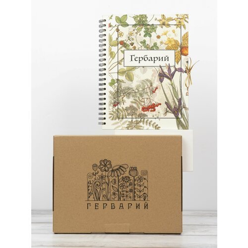 Альбом 'Гербарий для растений', коллекция, Подарочная коробка