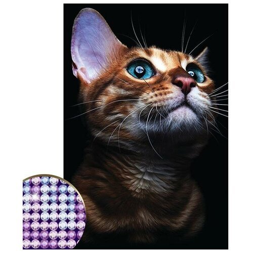 Алмазная мозаика с частичным заполнением «Взгляд кошки» 20х30 см, на холсте