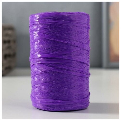 Пряжа 'Для вязания мочалок' 100% полипропилен 400м/100гр (фиолетовый)./ В упаковке: 5