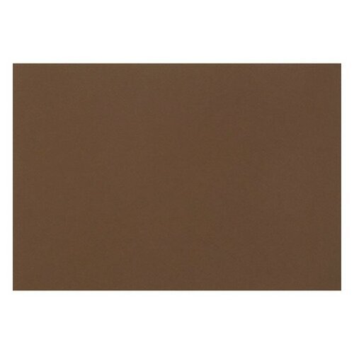 Бумага для пастели (1 лист) FABRIANO Tiziano А2+ (500х650 мм), 160 г/м2, кофейный, 52551009, 10 штук