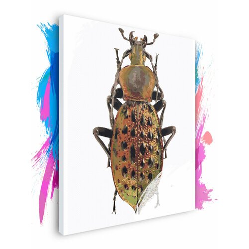 Картина по номерам на холсте Коричневый жук, 60 х 90 см