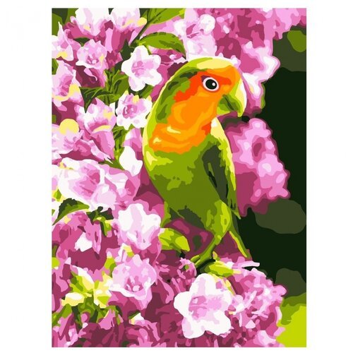 LORI Картина по номерам 'Весенний попугайчик' (Кпн-014), 38 х 28.5 см
