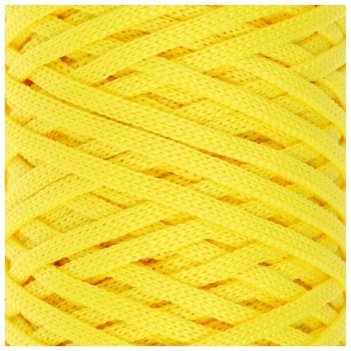 Шнур для вязания 'Классика' 100% полиэфир 3мм 100м (110 лимонный)