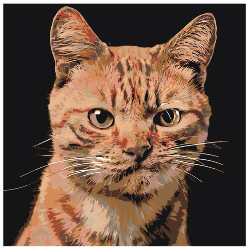 Картина по номерам, 'Живопись по номерам', 48 x 48, A207, рыжий, кот, животное, эмоции, возмущение, взгляд