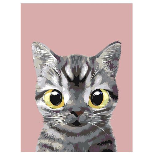Картина по номерам, 'Живопись по номерам', 36 x 48, A557, серый котенок, животное, большие глаза, розовый фон, портрет