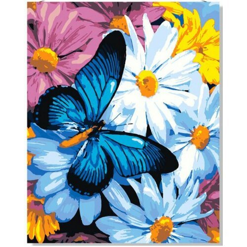 Картина по номерам на холсте 50х40 'Синяя бабочка'