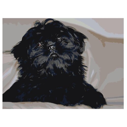 Картина по номерам, 'Живопись по номерам', 75 x 100, ets544-3040, щенок, шерсть, чёрный, домашний, питомец, животное, собака