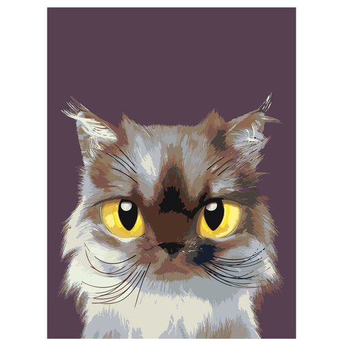 Картина по номерам, 'Живопись по номерам', 75 x 100, A560, кот, большие глаза, маленький, животное, домашний