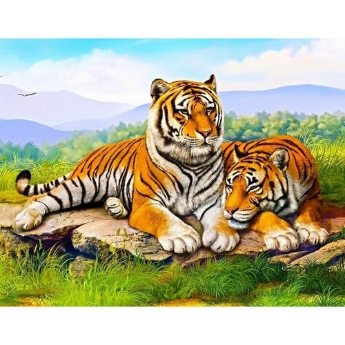 Картина по номерам Семья тигров 40х50 см
