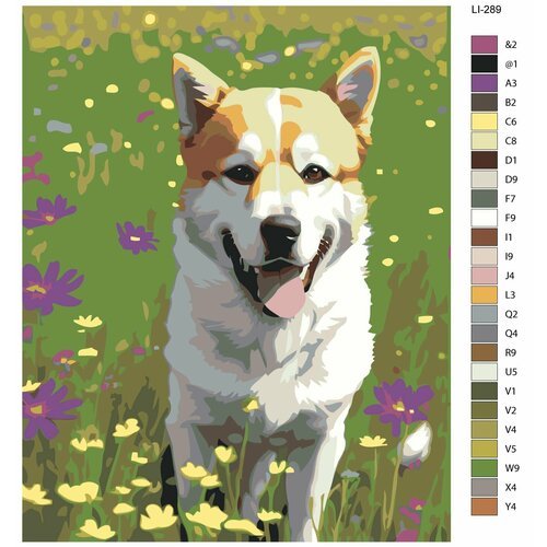 Картина по номерам,'Живопись по номерам',60 x 75, LI-289, собака в поле
