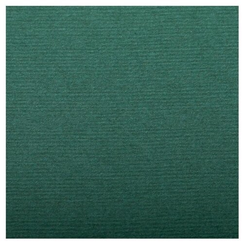 Бумага для пастели 25л. 500*650мм Clairefontaine 'Ingres', 130г/м2, верже, хлопок, темно-зеленый