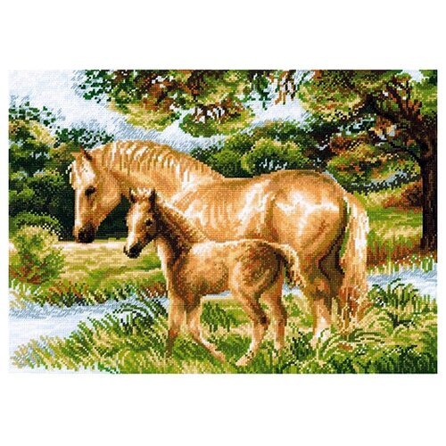 Набор для вышивания 'Лошадь с жеребёнком', 40x30 см, Риолис (Сотвори Сама)