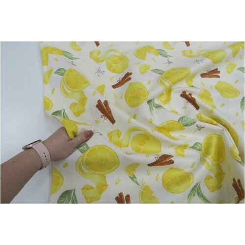 Ткань DUCK с водоотталкивающей пропиткой, принт: 'Лимон с корицей' (100 см. x 180 см.)