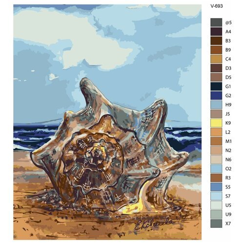 Картина по номерам V-693 'Ракушка на берегу', 60x80 см