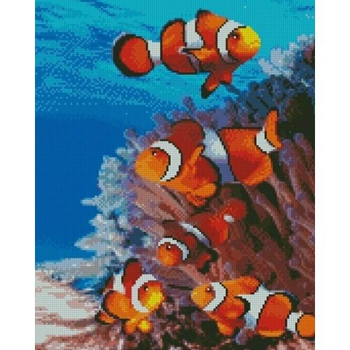 Алмазная мозаика 'Рыбки-клоун' круглые стразы холст на подрамнике 40х50 см