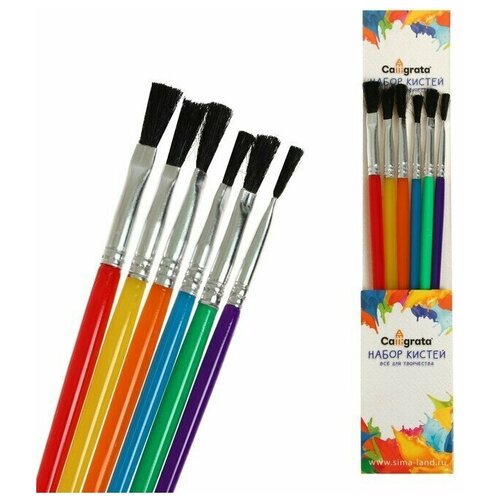 Calligrata Набор кистей, нейлон, плоские, 6 штук, с пластиковыми цветными ручками