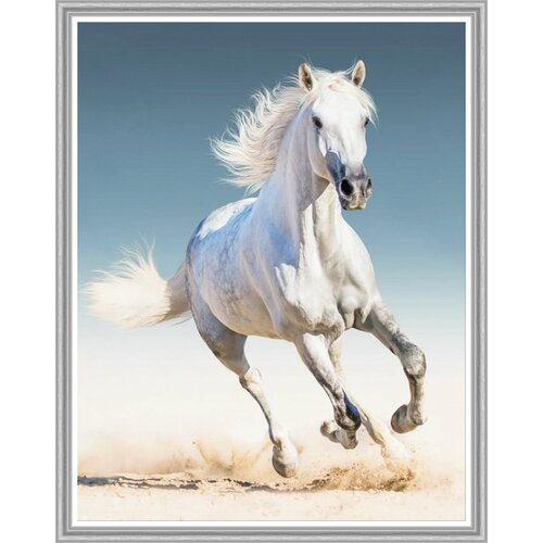 Алмазная мозаика на подрамнике Белая лошадь