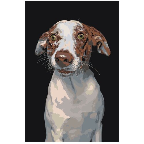 Картина по номерам, 'Живопись по номерам', 48 x 72, A168, пёс, живопись, собака, животное, порода