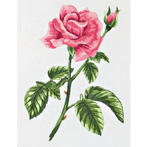 Роза (Rose) PE-655