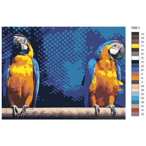 Картина по номерам Н30 'Попугаи', 60x80 см