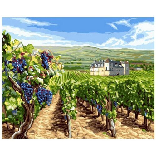Картина по номерам Виноградные поля 40х50 см Hobby Home